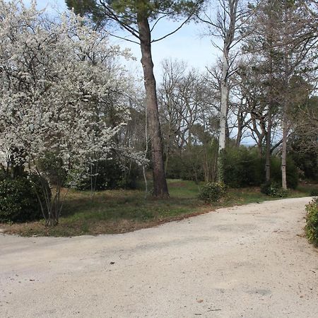 Ermitage Notre Dame De Vacquieres Bed & Breakfast Noves Exterior foto